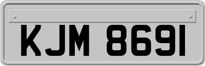 KJM8691