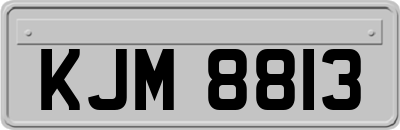 KJM8813