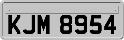 KJM8954