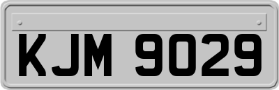 KJM9029