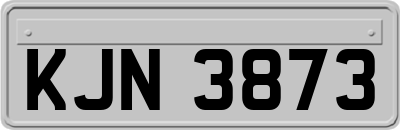 KJN3873