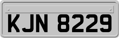 KJN8229