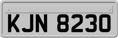 KJN8230