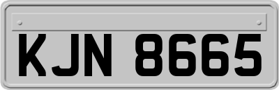 KJN8665