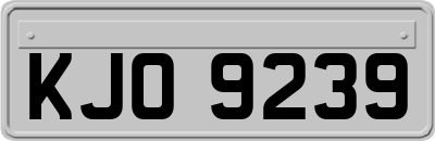 KJO9239