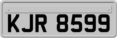 KJR8599