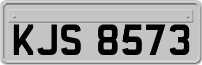 KJS8573