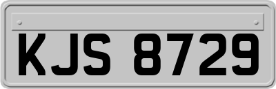 KJS8729