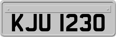 KJU1230