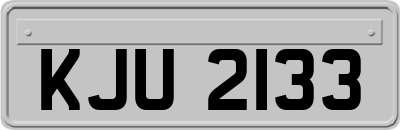 KJU2133