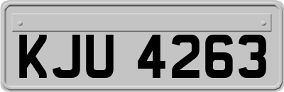 KJU4263