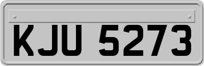 KJU5273
