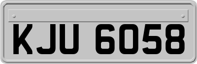KJU6058