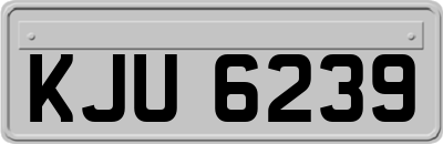KJU6239