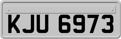 KJU6973