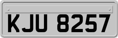 KJU8257