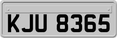 KJU8365
