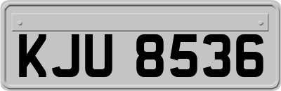 KJU8536