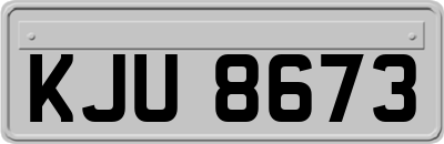 KJU8673