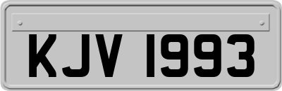 KJV1993