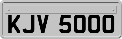 KJV5000