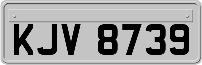 KJV8739