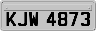 KJW4873