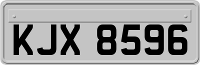 KJX8596