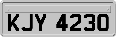 KJY4230