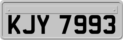 KJY7993