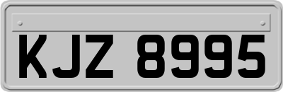 KJZ8995