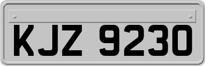 KJZ9230