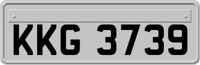 KKG3739