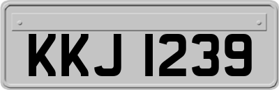 KKJ1239