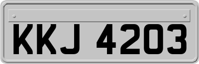 KKJ4203