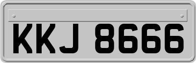 KKJ8666