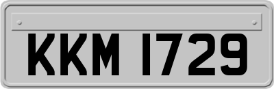 KKM1729