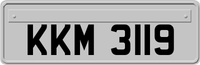 KKM3119