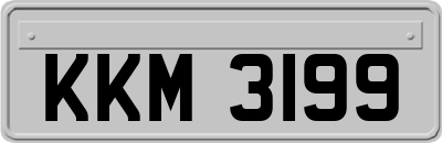 KKM3199