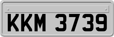 KKM3739