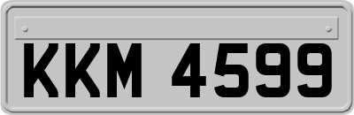 KKM4599