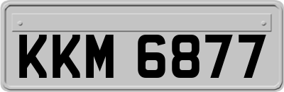 KKM6877