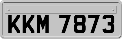 KKM7873