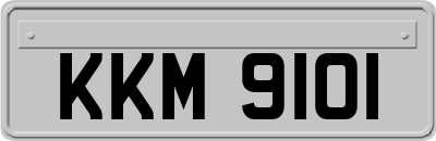 KKM9101