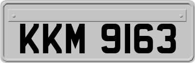 KKM9163