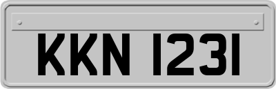 KKN1231