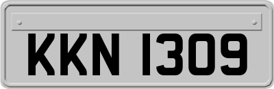 KKN1309
