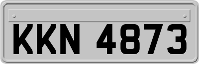 KKN4873
