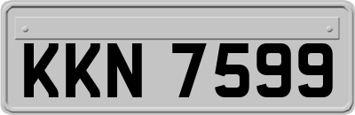 KKN7599