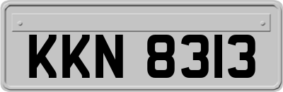 KKN8313